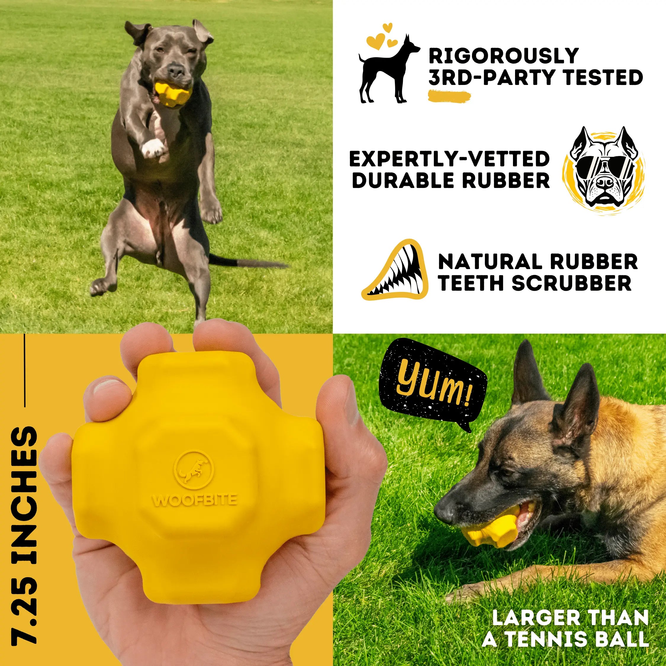 Jumping Jack Monster K9 Dog Toys