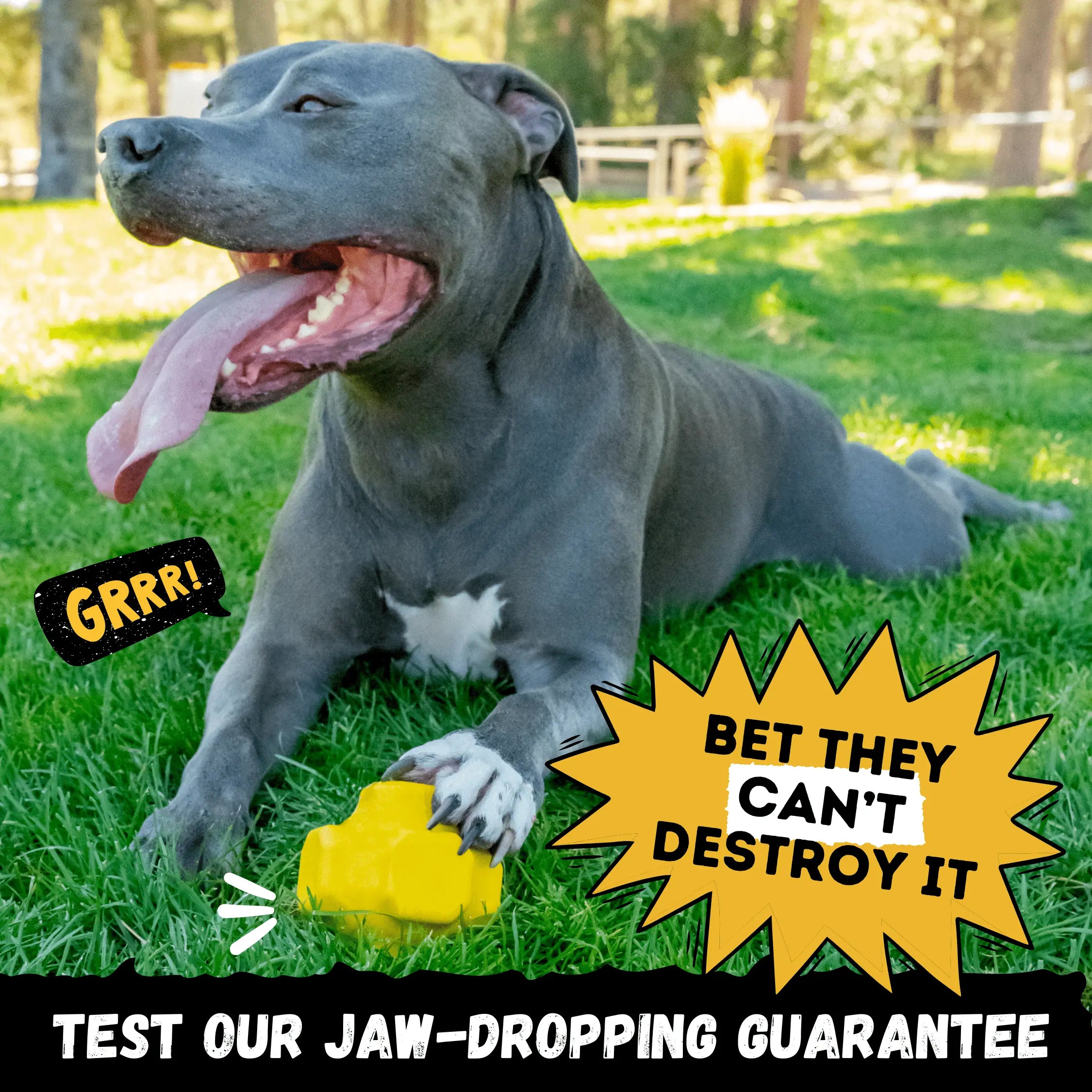 Jumping Jack Monster K9 Dog Toys