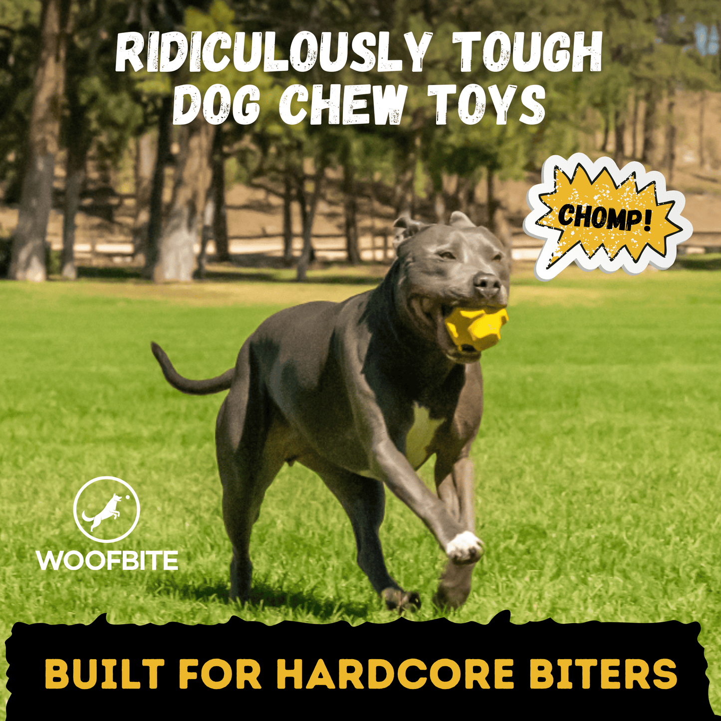 Jumping Jack Monster K9 Dog Toys