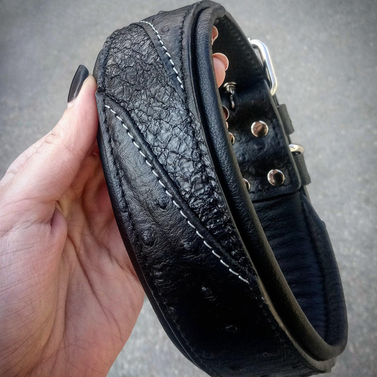 Bestia Korona Leather Dog Collar – Black