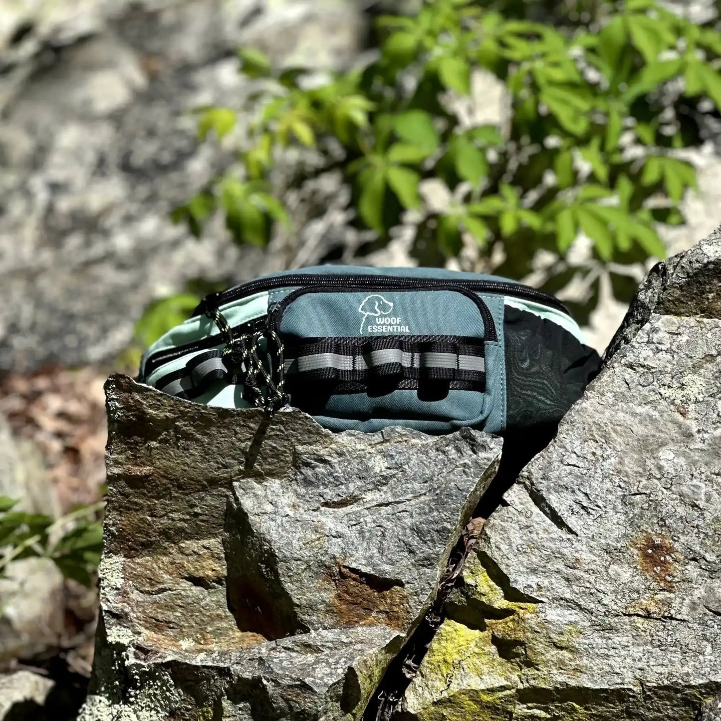 Walk'n Wag Hip Pack WOOFESSENTIAL