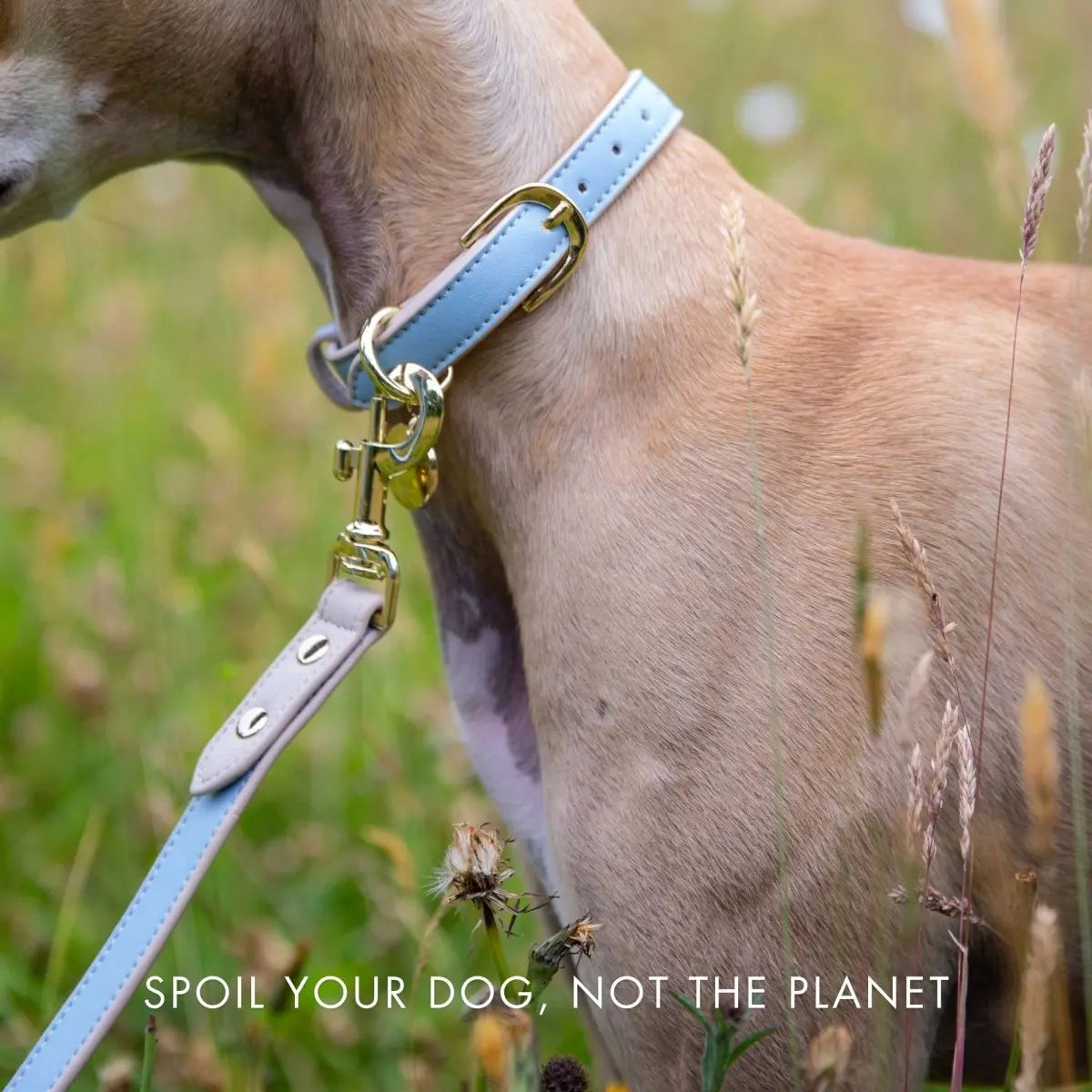 Leash 4ft - Vegan Leather Nina Woof
