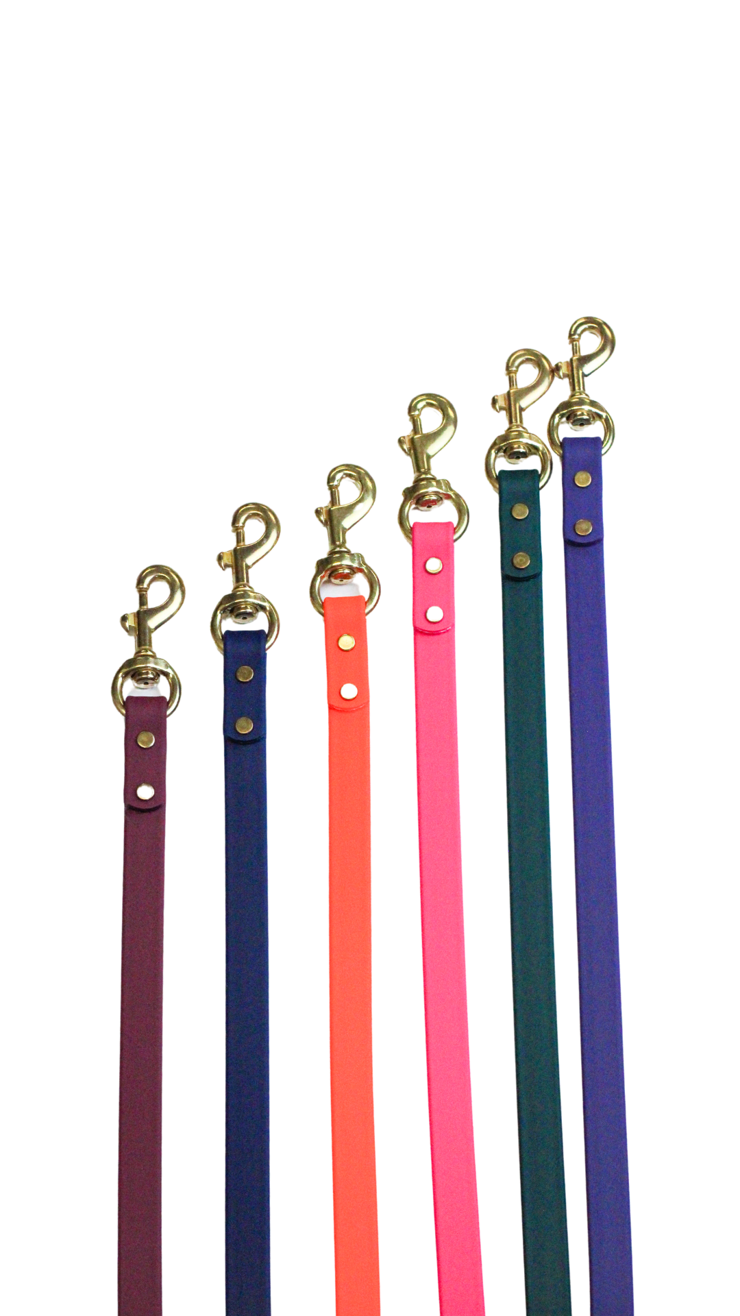 Orange Waterproof Biothane Leash