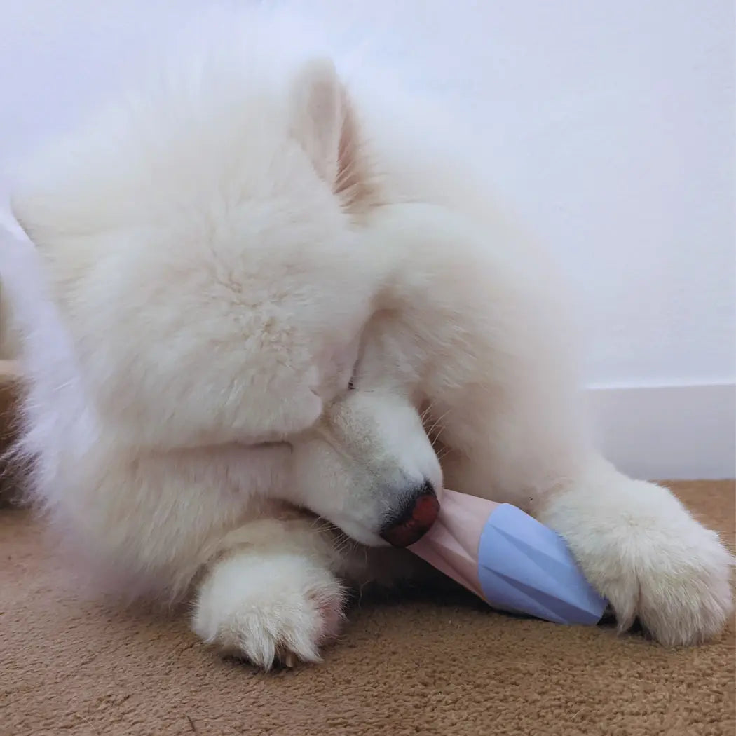 The Ubbe Modern Dog Licking Toy Up Dog Shop