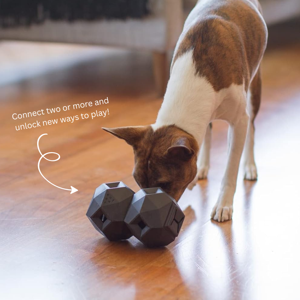 The Odin Treat Dispensing Toy For Dogs Up Dog Shop