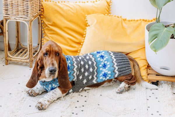 Light Blue Fair Isle Dog Sweater