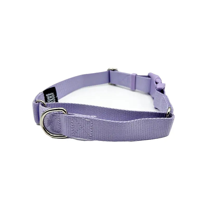 Martingale Dog Collar - K9 Outdoors