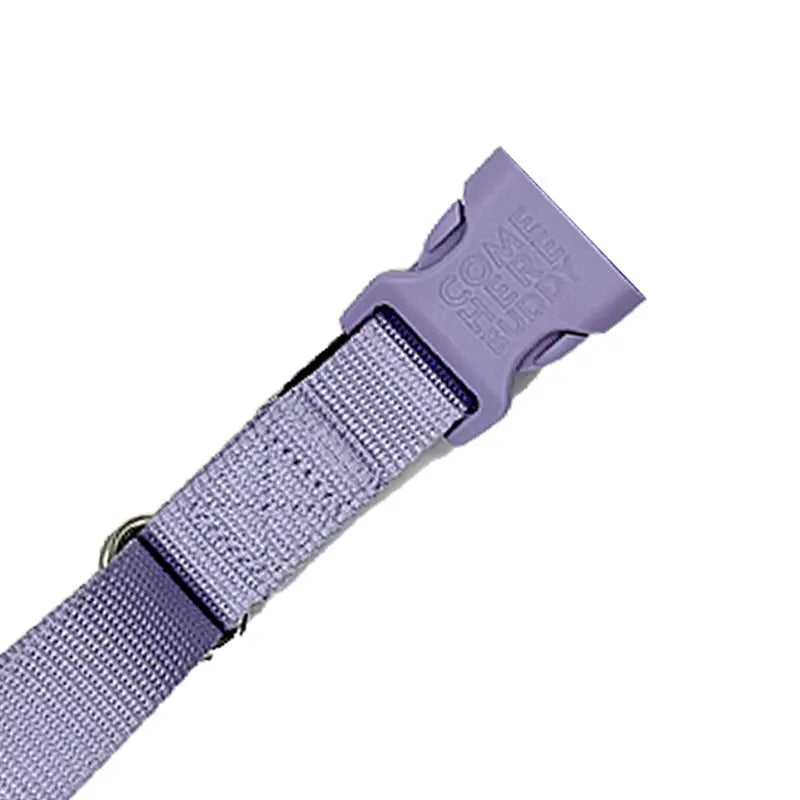 Martingale Dog Collar