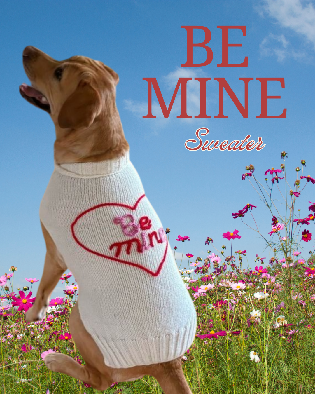 Be Mine Dog Sweater