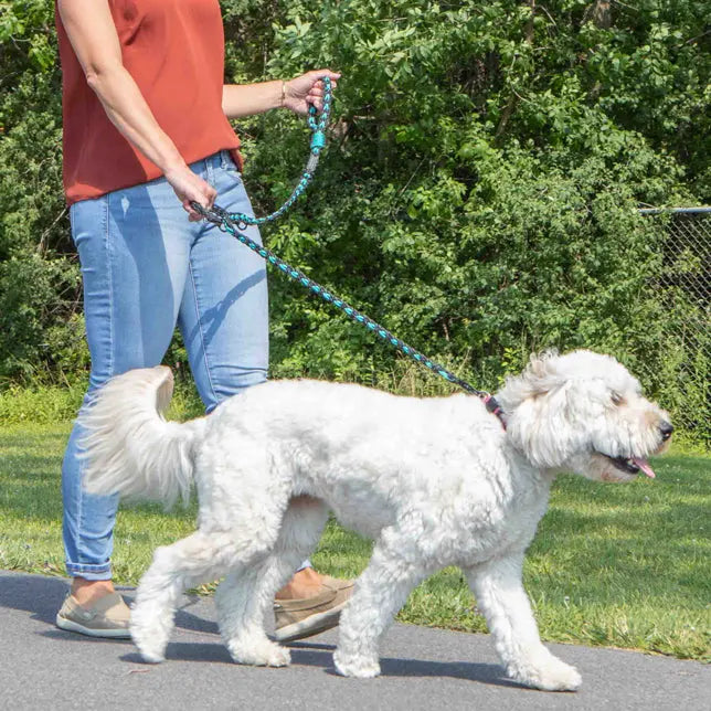 Forever Leash Carmella & Rose
