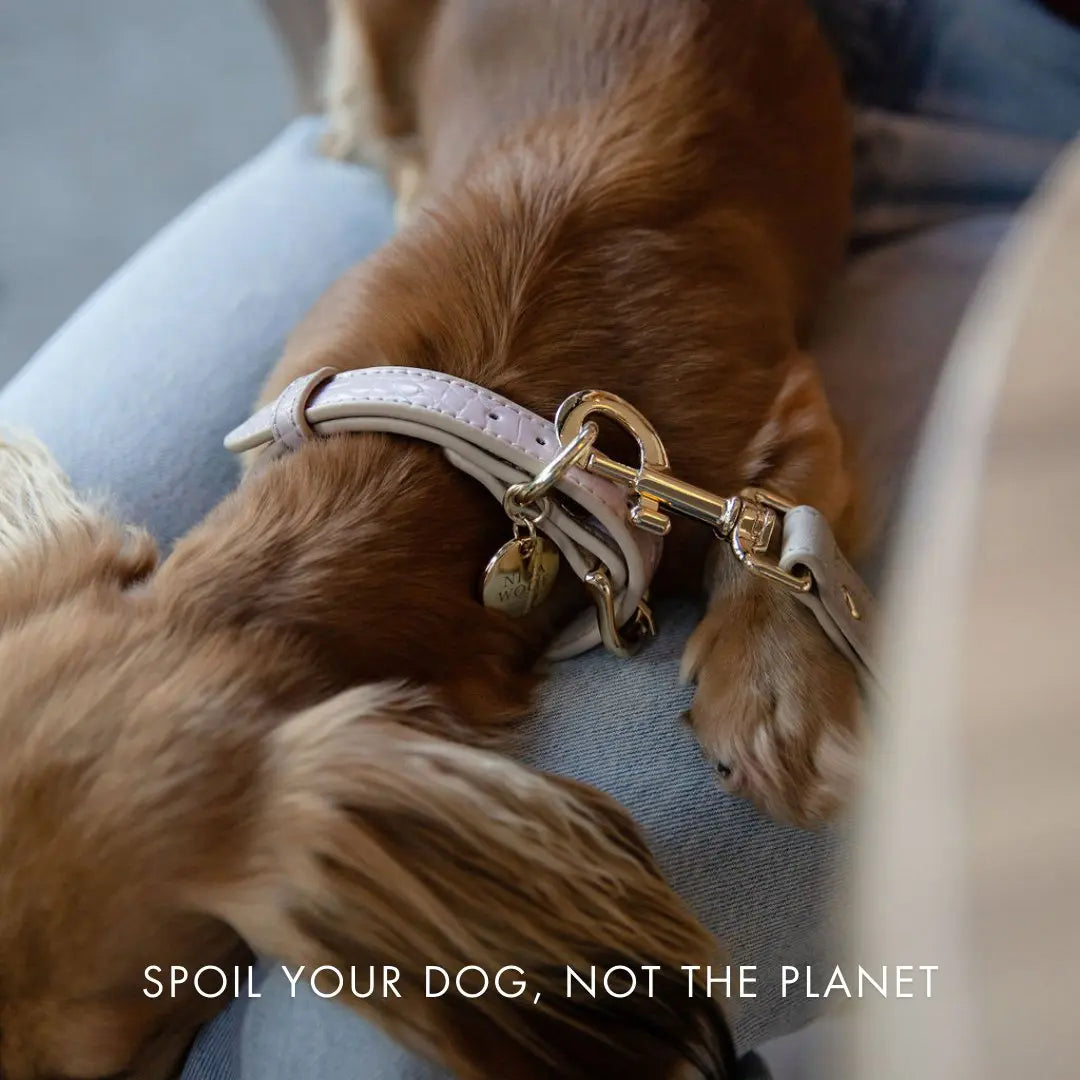 Leash 4ft - Vegan Leather - Milan Nina Woof