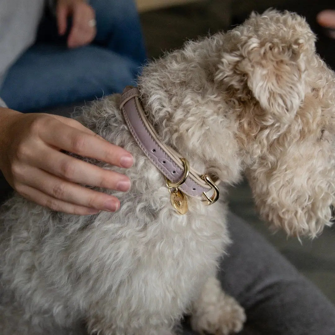 Collar - Vegan Leather - Milan Nina Woof