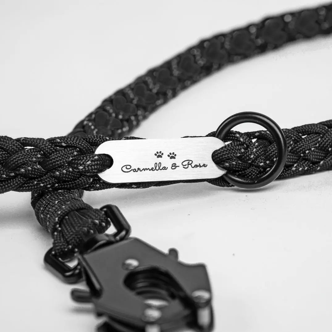 Forever Leash Carmella & Rose