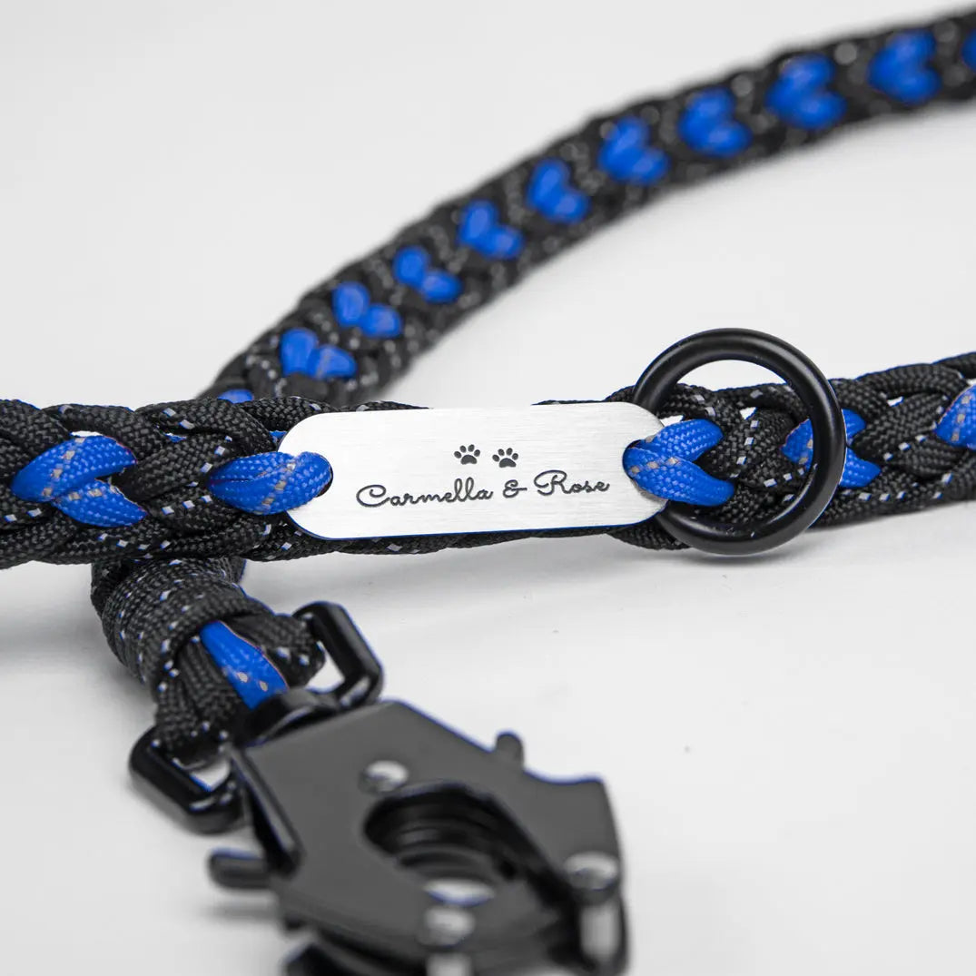Forever Leash