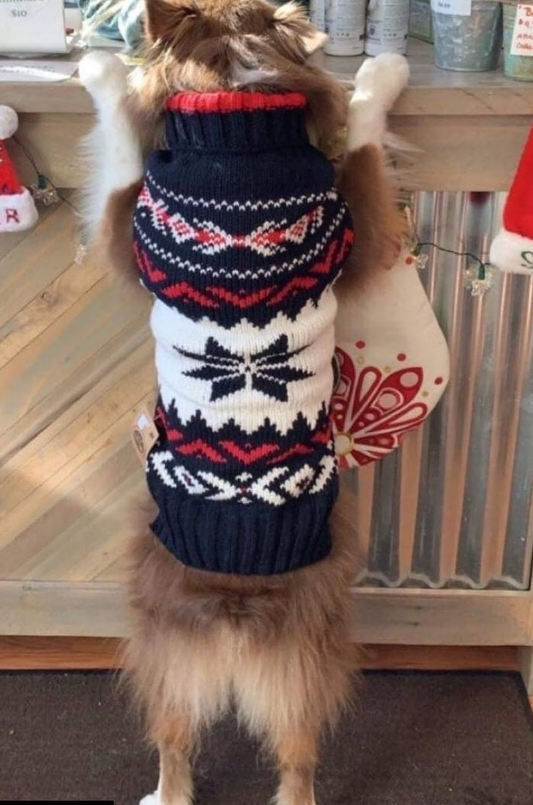 Navy Vail Dog Sweater