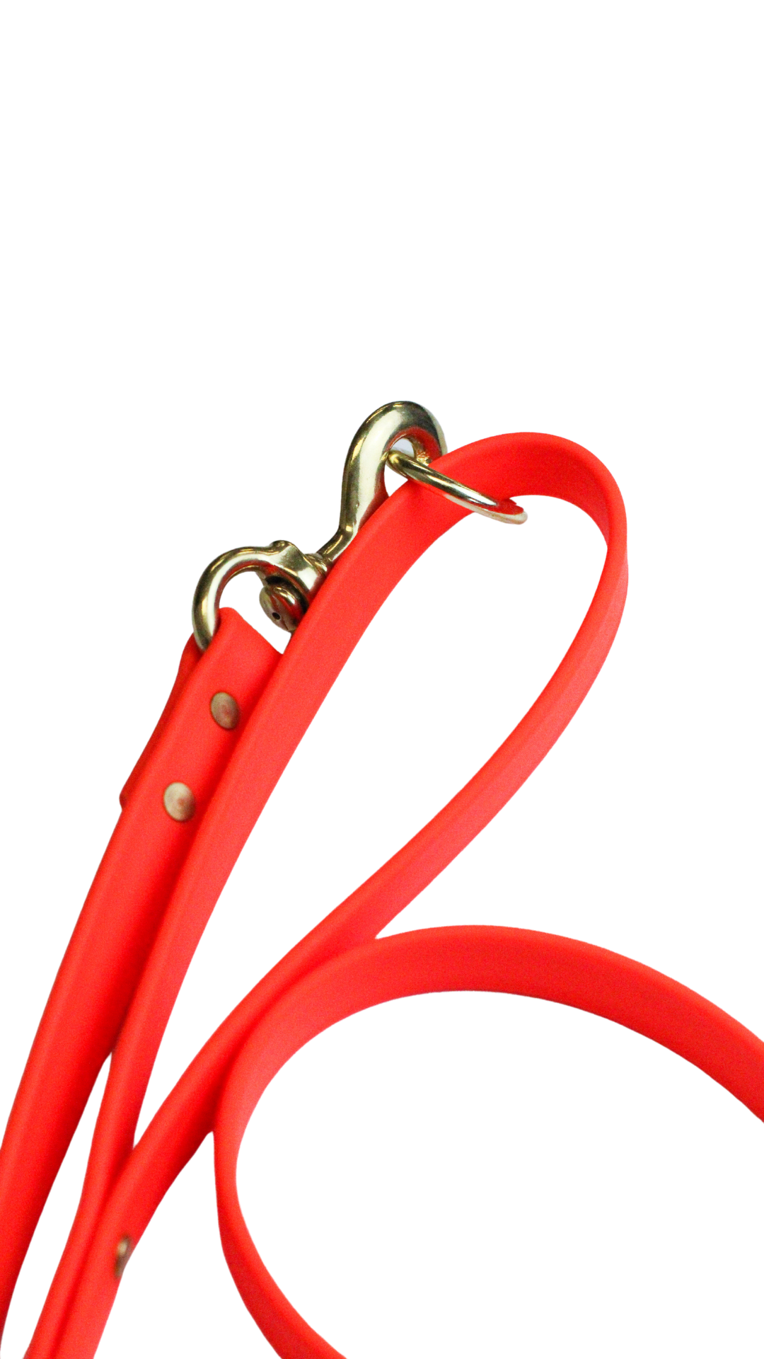 Orange Waterproof Biothane Leash