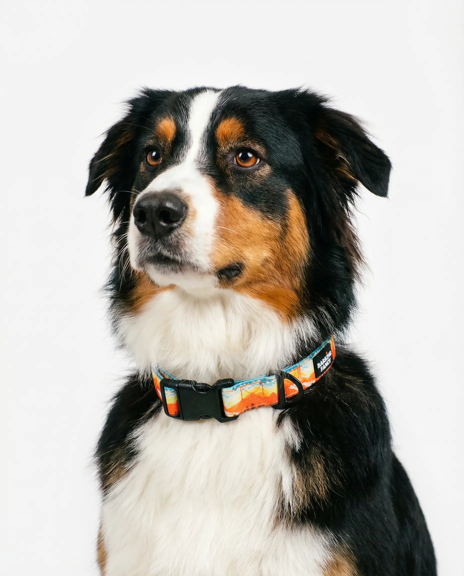 Mountainscape Adjustable Dog Collar - Orange Barking Fancy