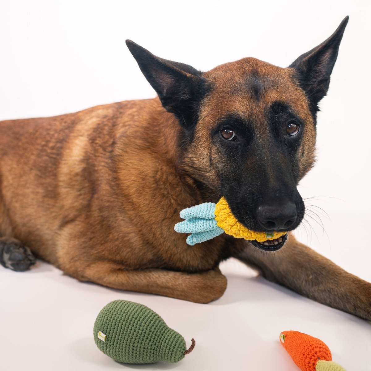 Organic Veggie Toys Bundle Nina Woof