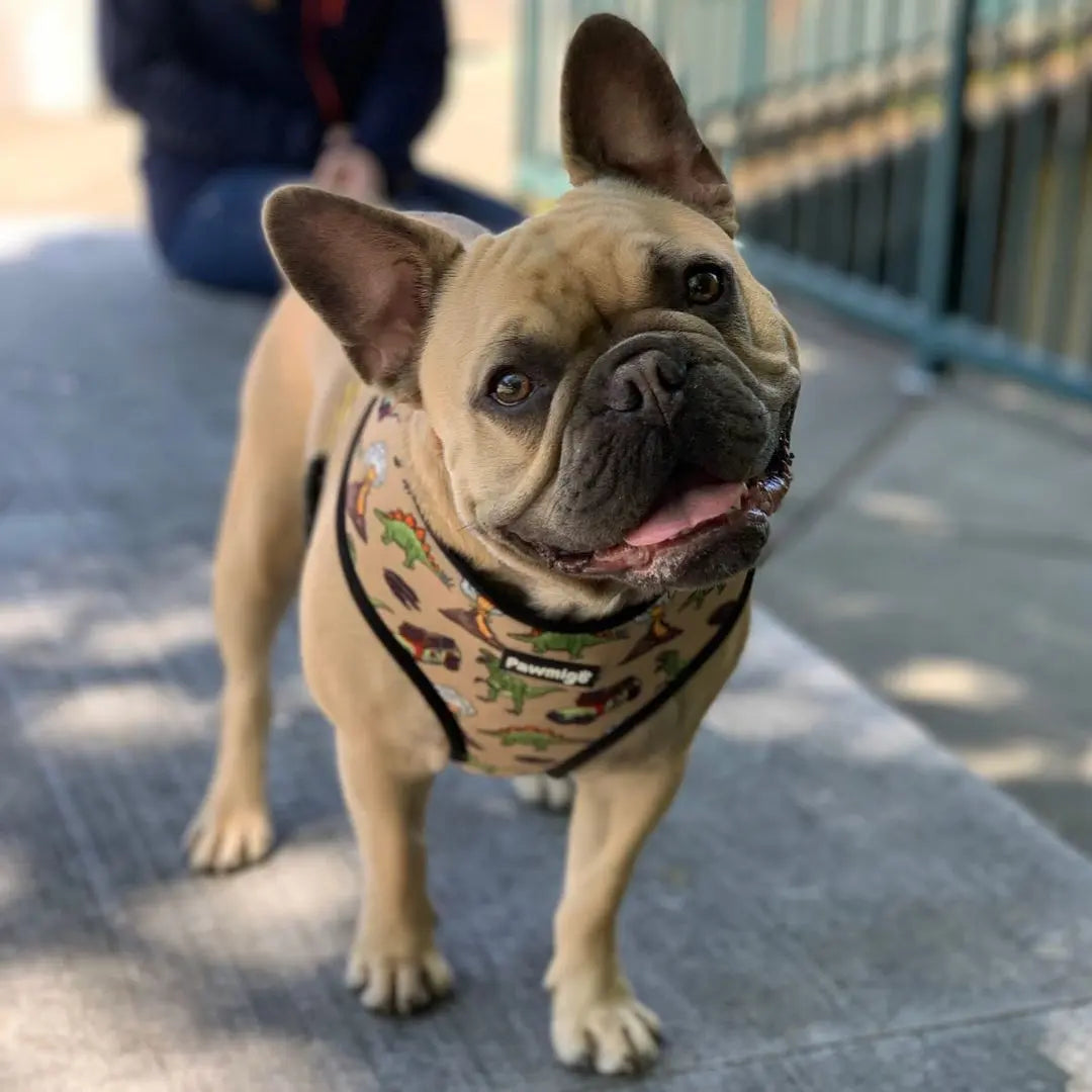 Jurassic Bark Reversible Harness Pawmigo