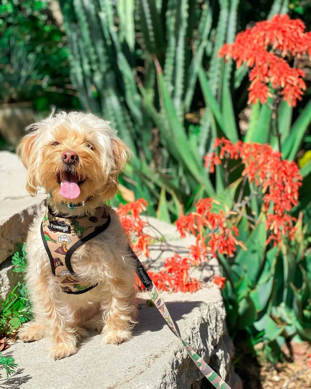 Jurassic Bark Reversible Harness Pawmigo