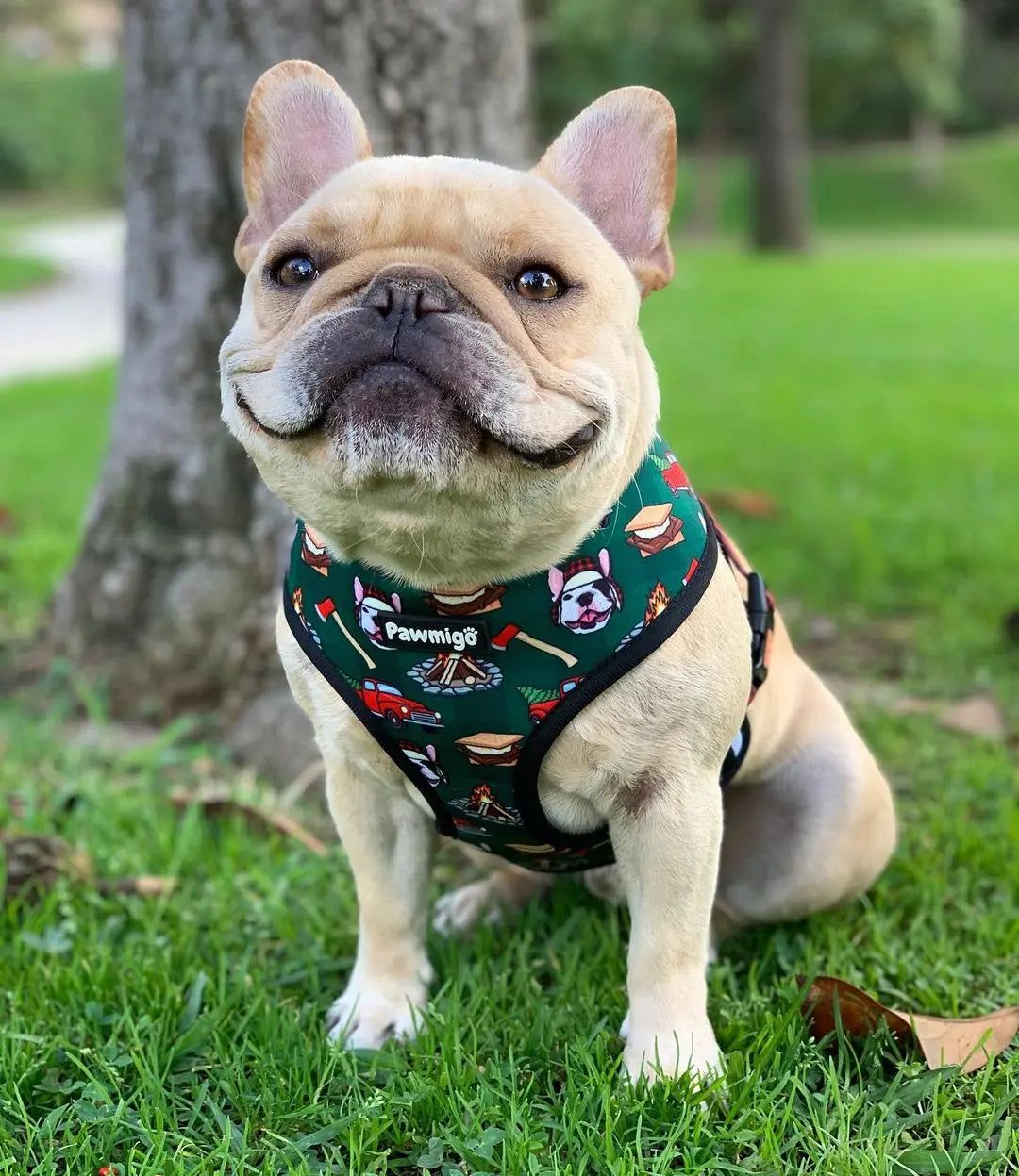 Lumbersnack Reversible Harness Pawmigo