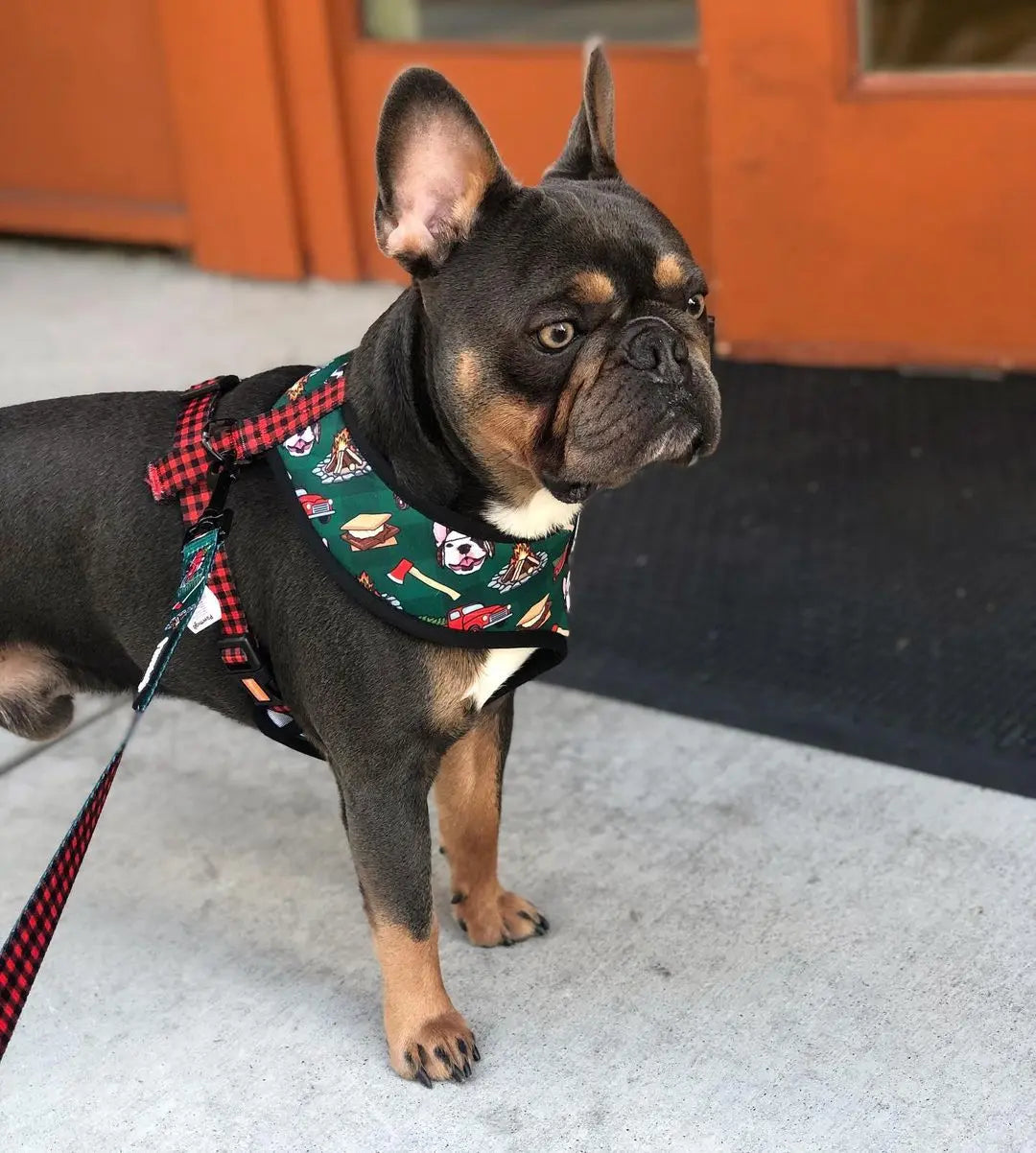 Lumbersnack Reversible Harness Pawmigo