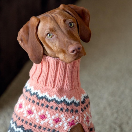 Peach Fairisle Dog Sweater