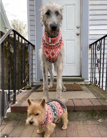 Peach Fairisle Dog Sweater