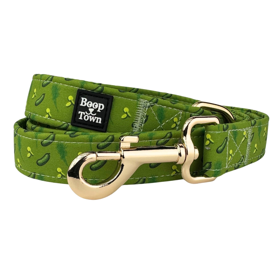 Boop Town 5ft Soft Cotton Dog Leashes with Metal Hardware