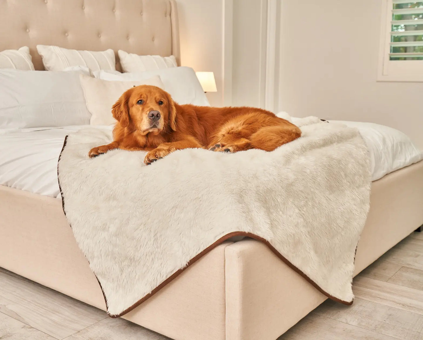 PupProtector™ Summer Short Fur Waterproof Throw Blanket - Polar White Paw.com