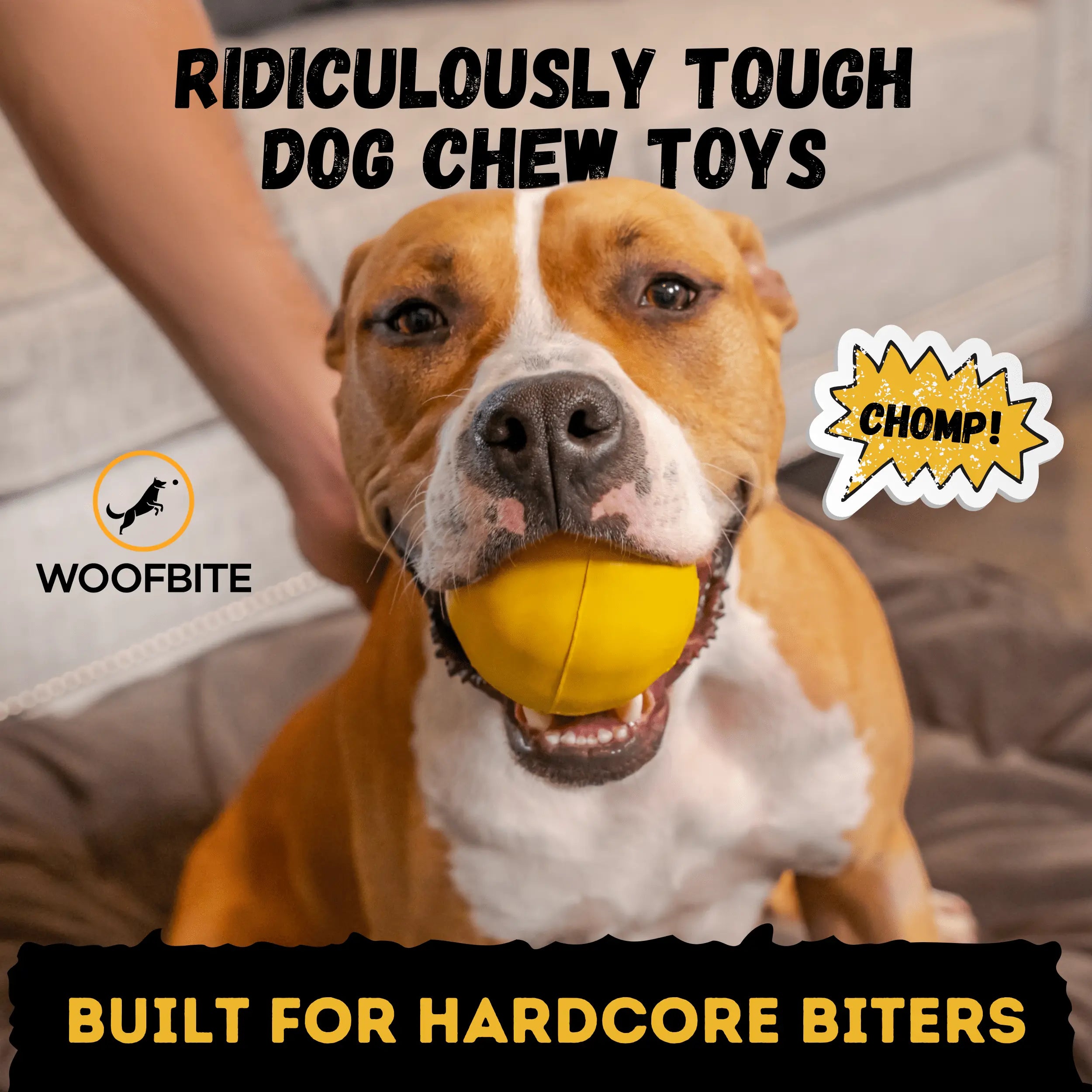 Power Ball Monster K9 Dog Toys