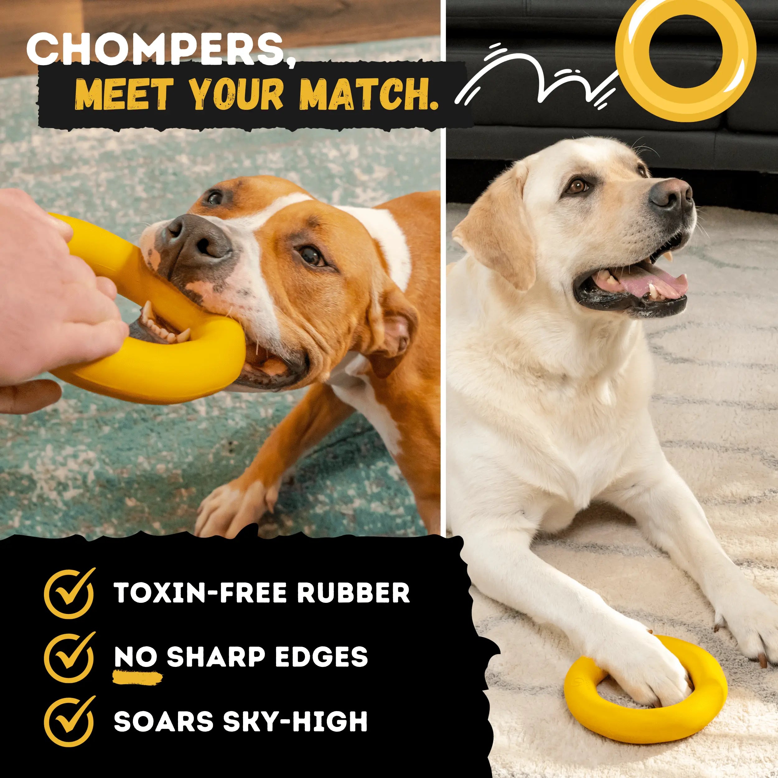 Power Ring Monster K9 Dog Toys