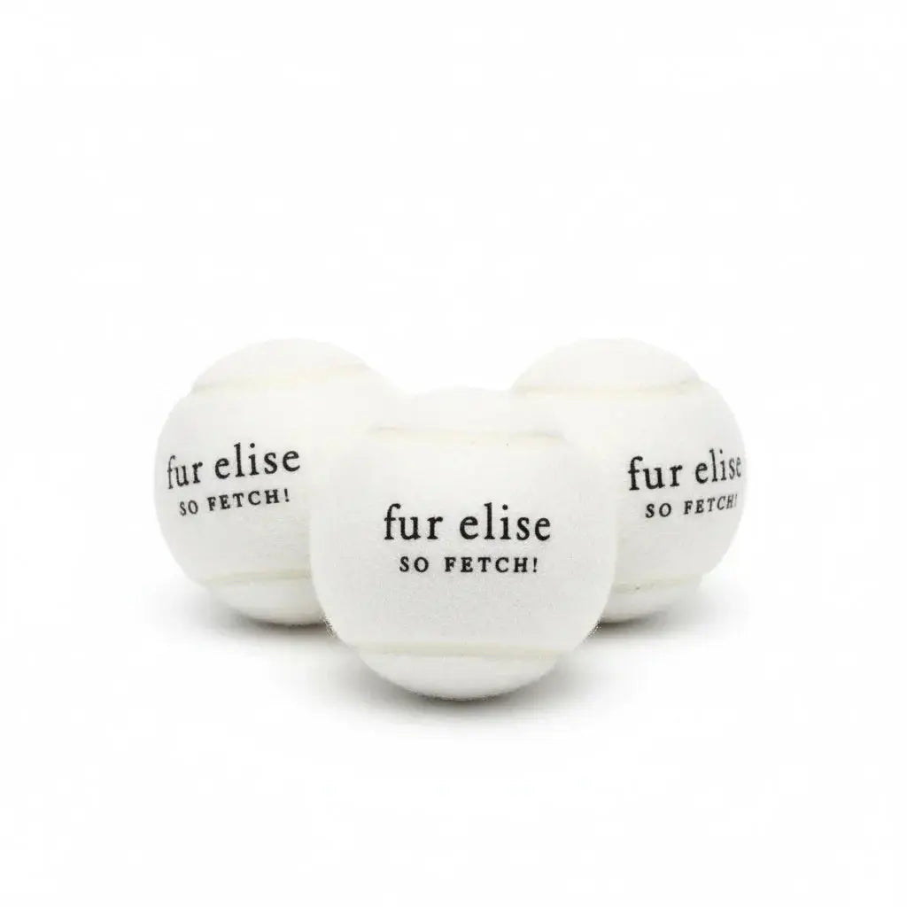 Fur Elise So Fetch! Tennis Ball Pack of 3 - Ivory