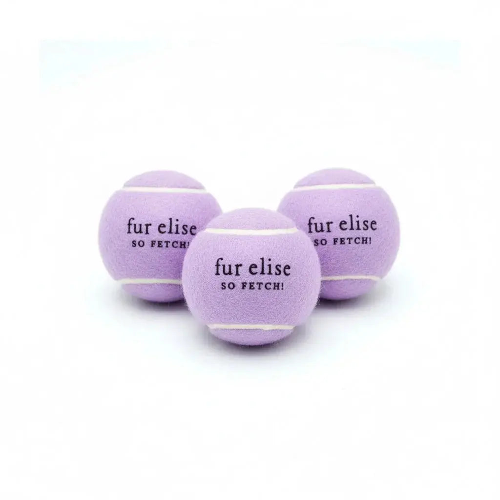 Fur Elise So Fetch! Tennis Ball Pack of 3 - Lilac