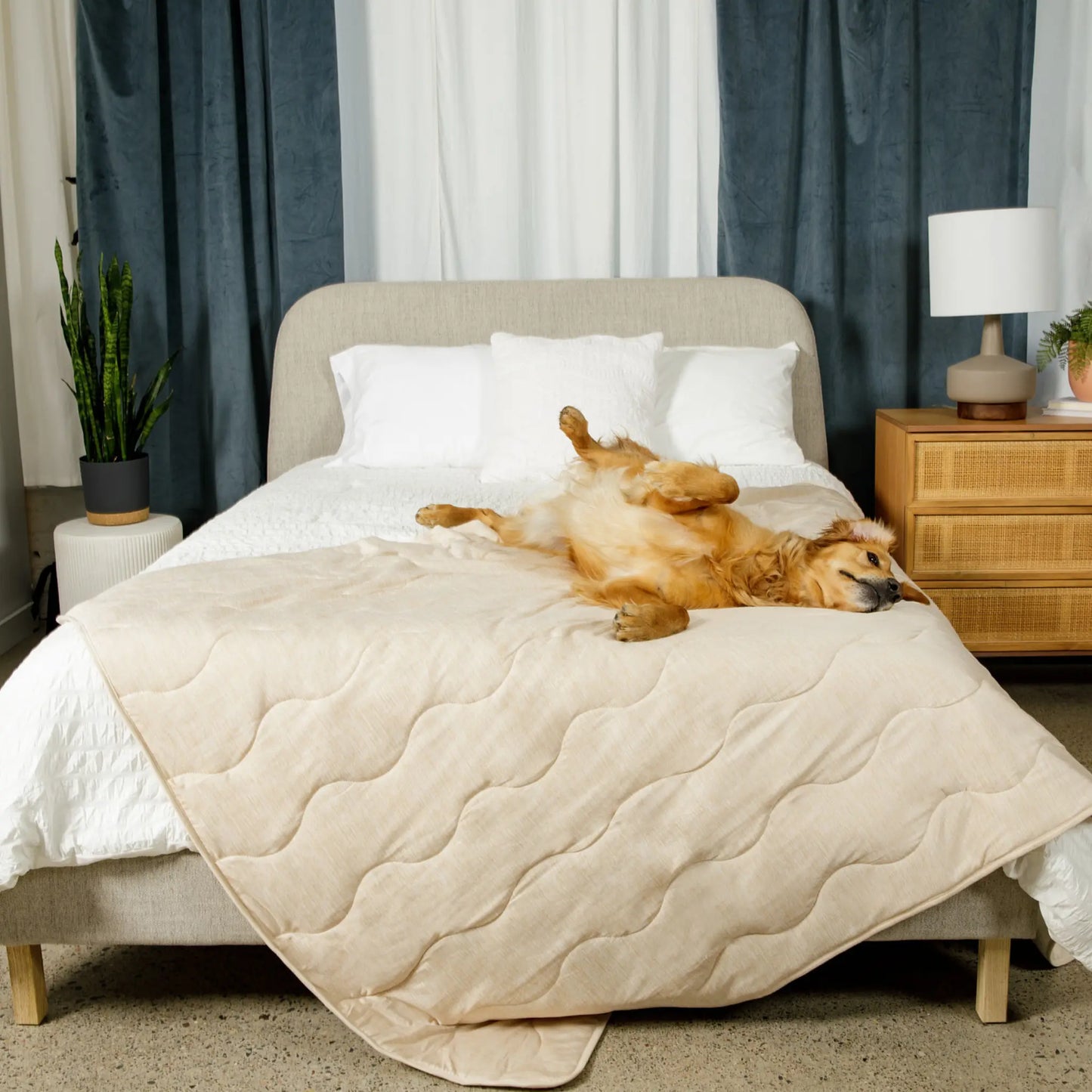 PupChill™ Cooling Waterproof Blanket - Arctic Sand Paw.com