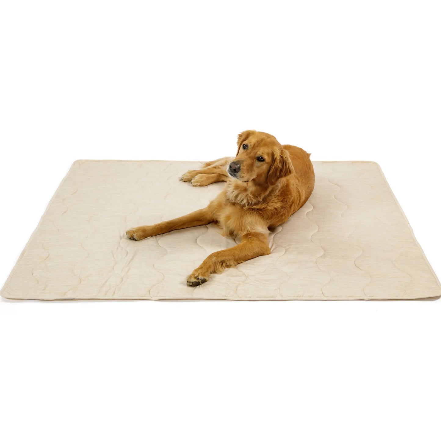 PupChill™ Cooling Waterproof Blanket - Arctic Sand Paw.com