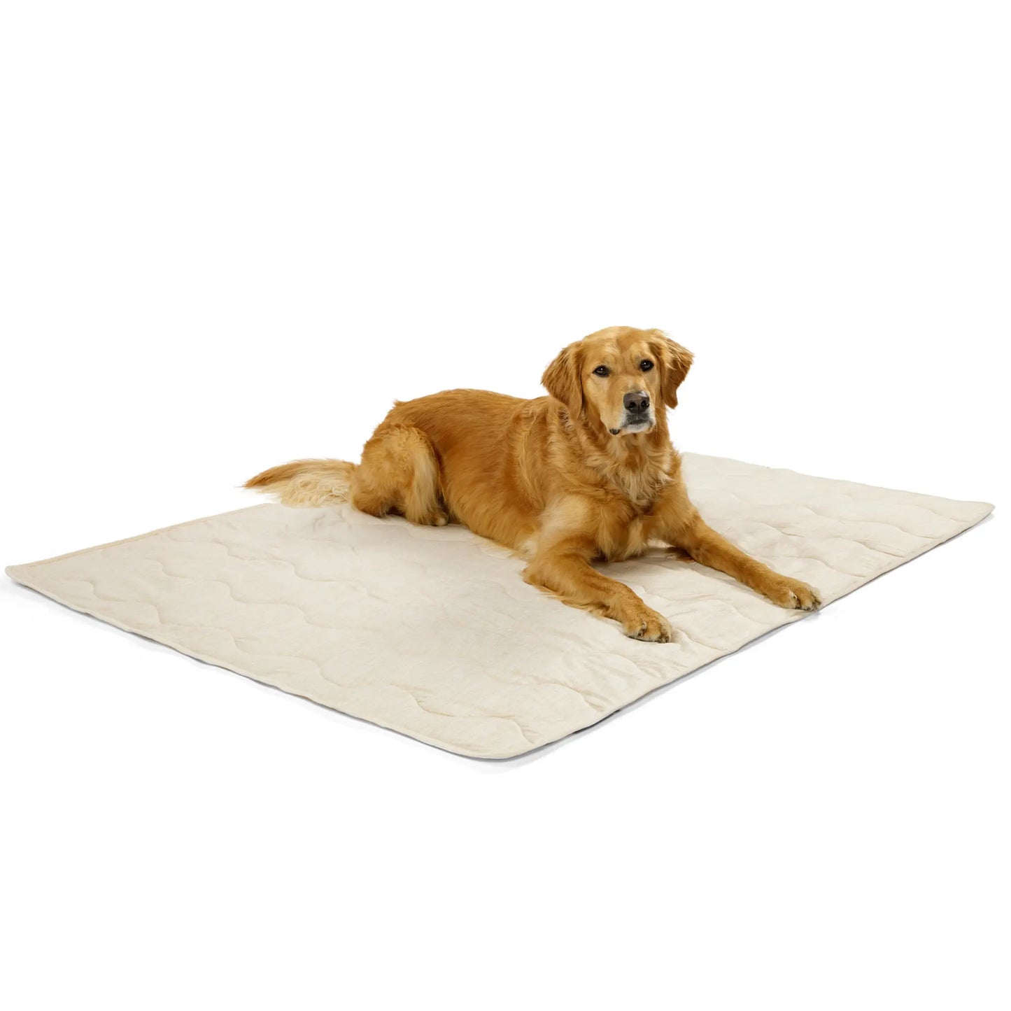 PupChill™ Cooling Waterproof Blanket - Arctic Sand Paw.com