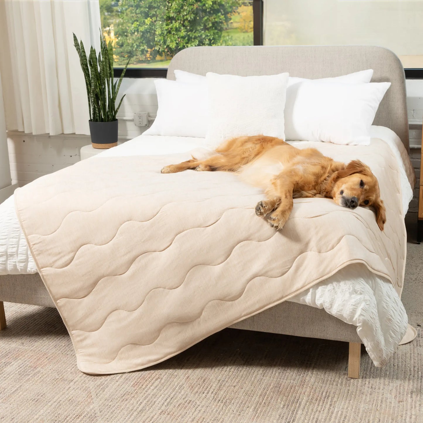 PupChill™ Cooling Waterproof Blanket - Arctic Sand Paw.com