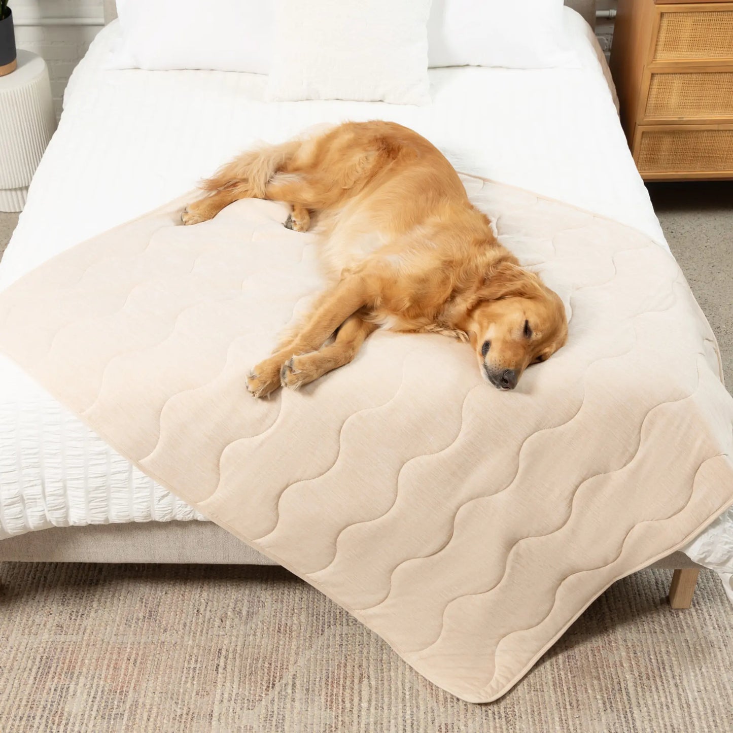 PupChill™ Cooling Waterproof Blanket - Arctic Sand Paw.com