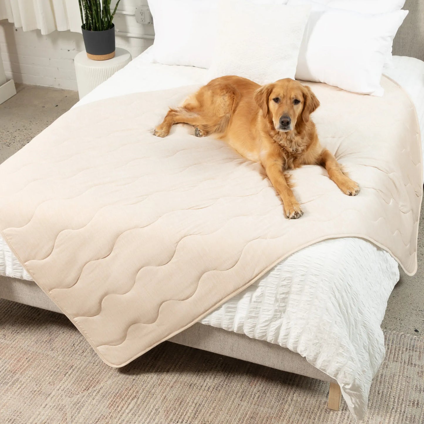 PupChill™ Cooling Waterproof Blanket - Arctic Sand Paw.com