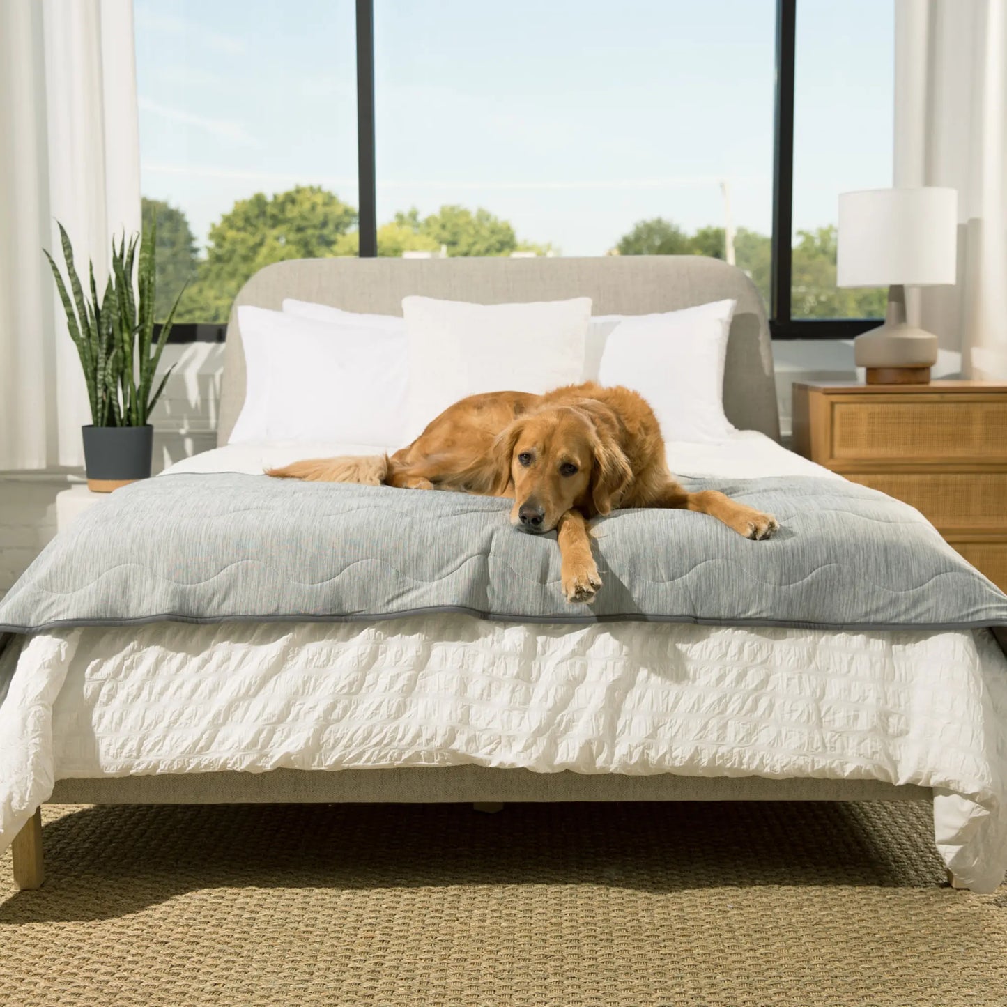 PupChill™ Cooling Waterproof Runner Blanket - Arctic Grey Paw.com