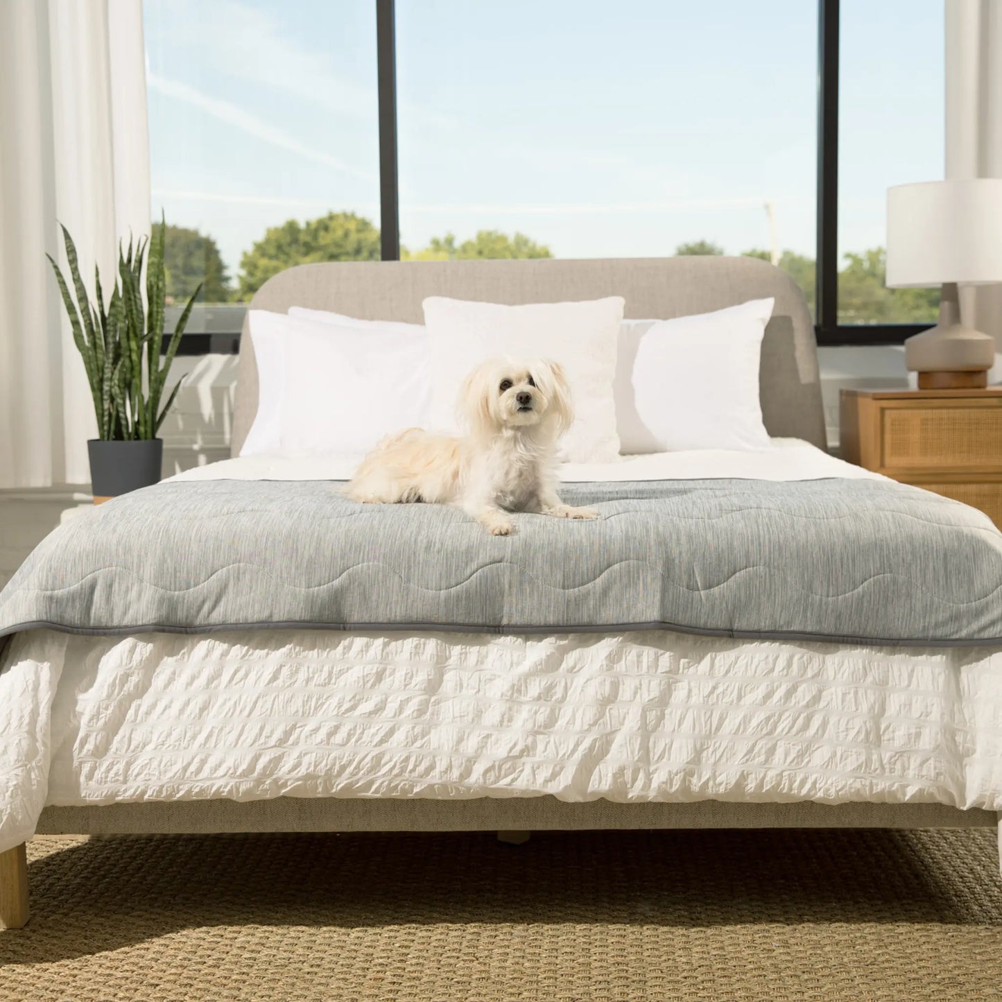 PupChill™ Cooling Waterproof Runner Blanket - Arctic Grey Paw.com