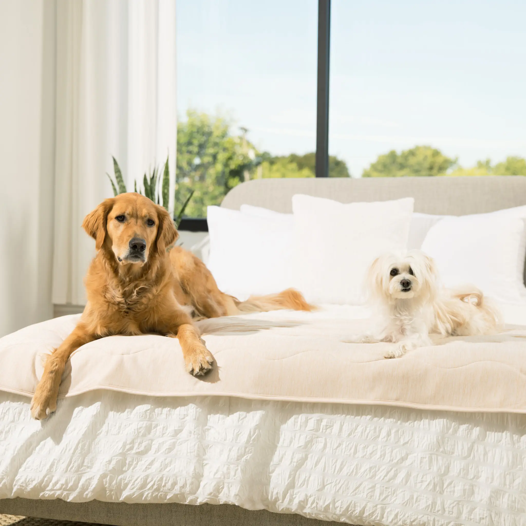 PupChill™ Cooling Waterproof Runner Blanket - Arctic Sand Paw.com