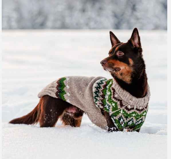 Ragg Wool Fair Isle Dog Sweater