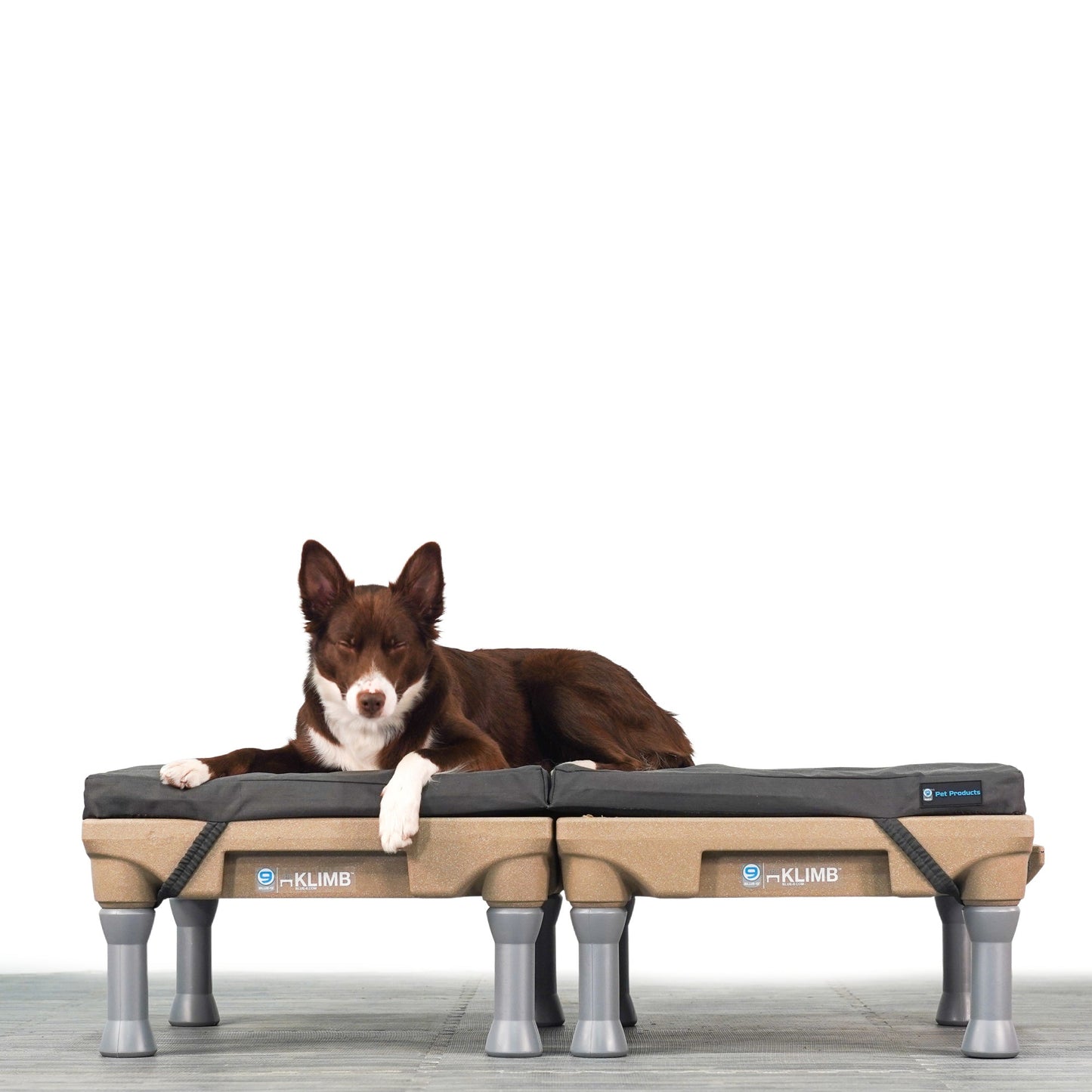 Restore+ Double Dog Bed Blue-9 Pet Products