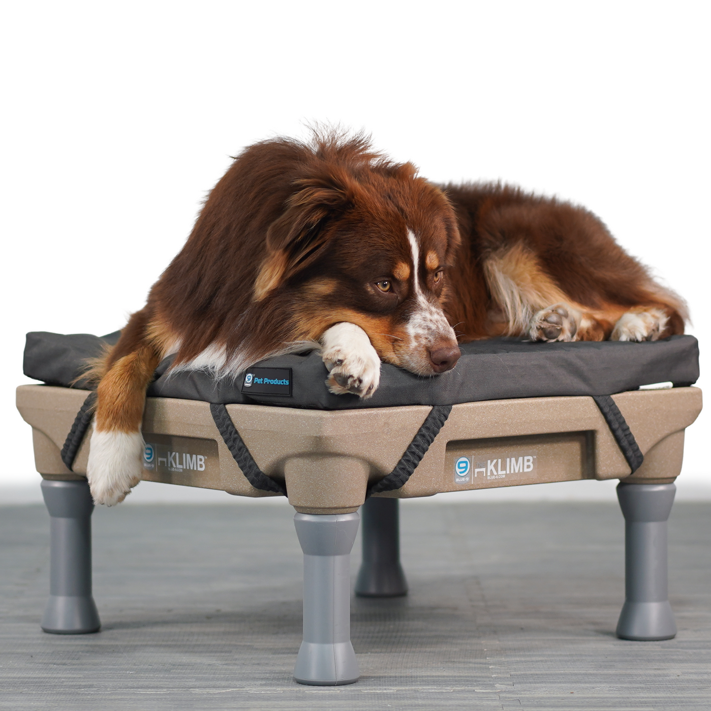 Restore Dog Bed Blue-9 Pet Products