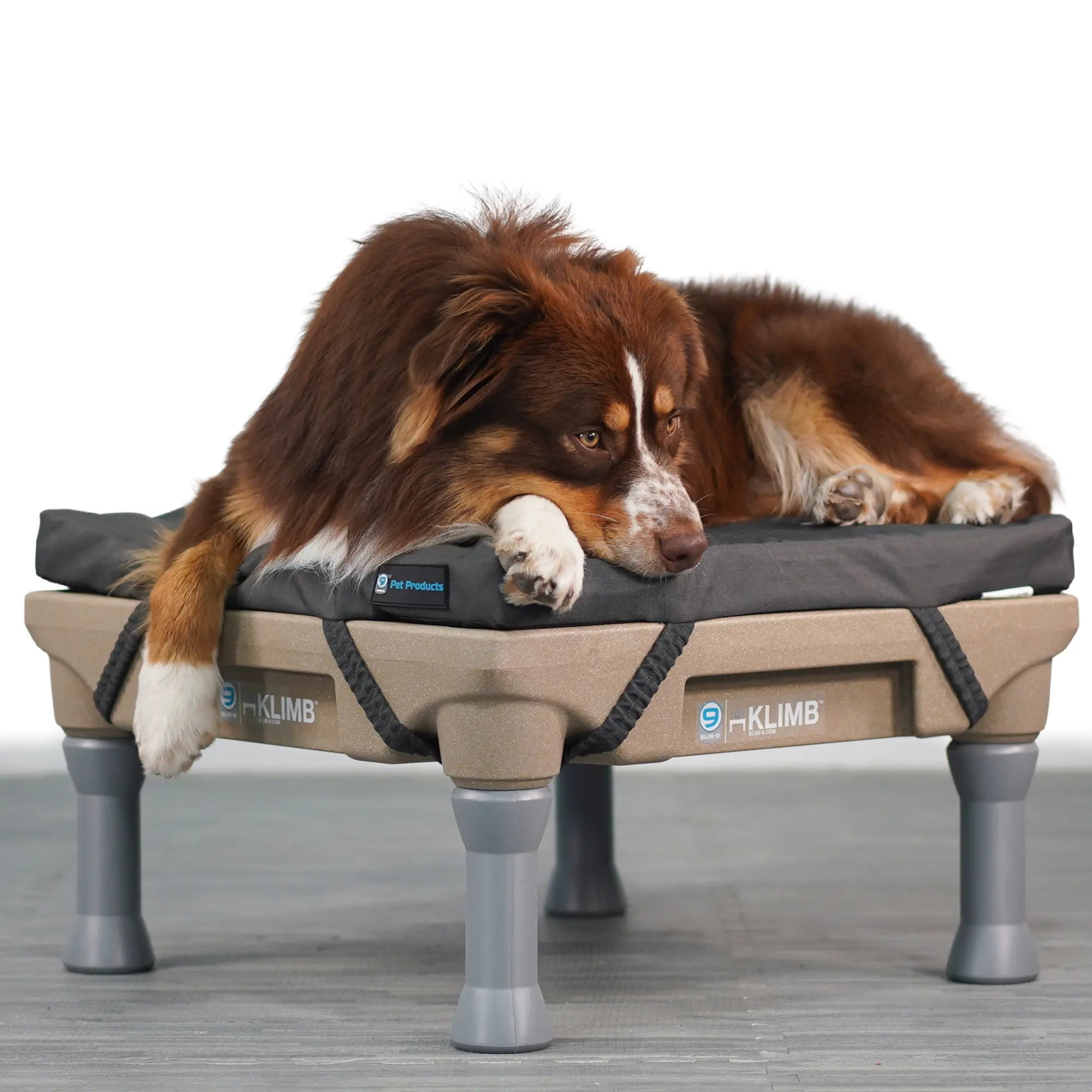 Restore Dog Bed Blue-9 Pet Products