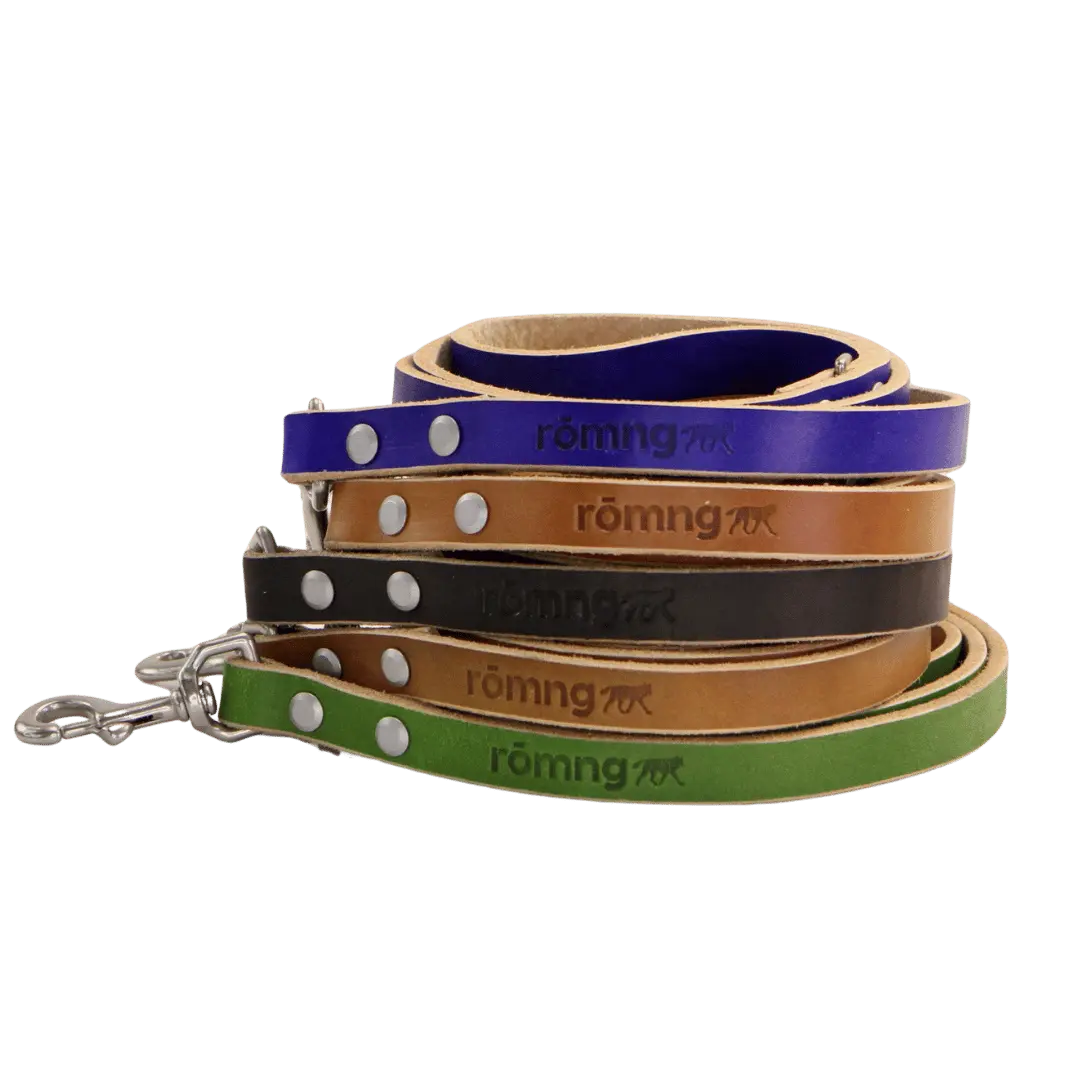 48" Genuine Leather Dog Leashes - Made in USA rōmng