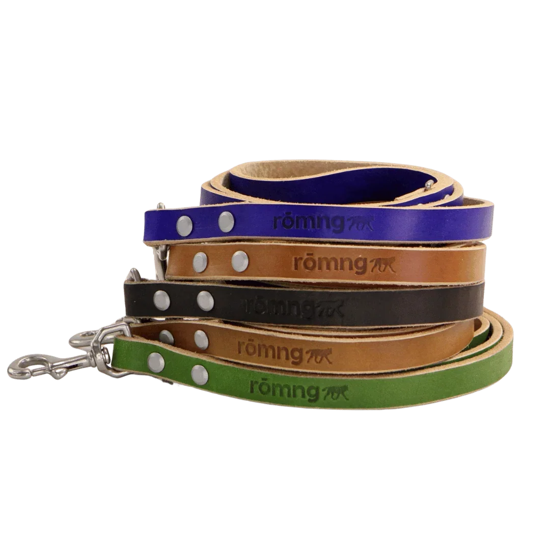 handmade leather dog leash by rōmng