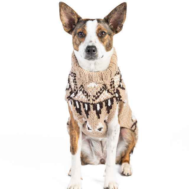 Sandy Cable Knit Dog Sweater